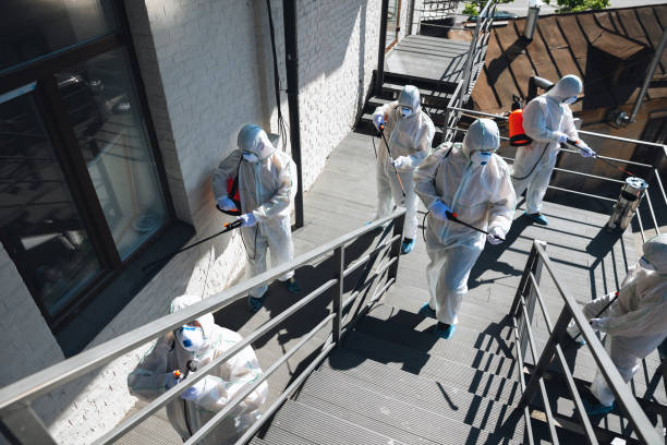 Best Mold Removal for HVAC Installations  in Waikapu, HI
