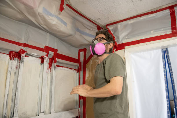 Best Residential Mold Inspection & Testing  in Waikapu, HI