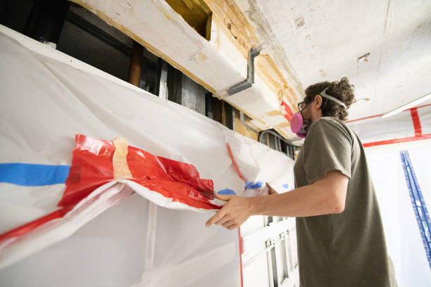 Best Asbestos and Lead Testing During Mold Inspection  in Waikapu, HI