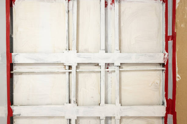 Trusted Waikapu, HI Mold Removal Experts