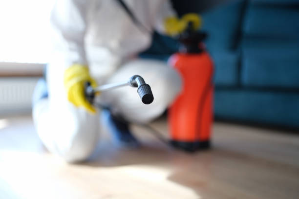 Mold Remediation for Vacation Homes in Waikapu, HI